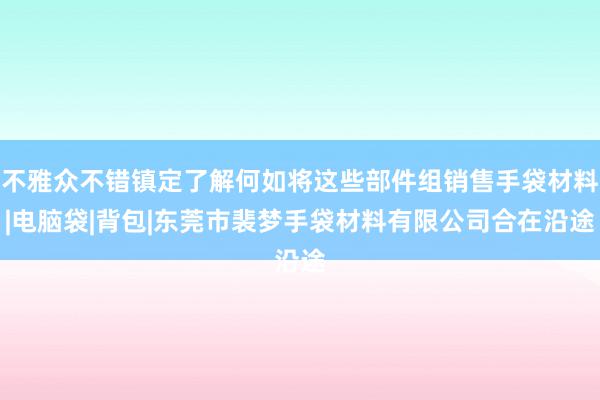不雅众不错镇定了解何如将这些部件组销售手袋材料|电脑袋|背包|东莞市裴梦手袋材料有限公司合在沿途